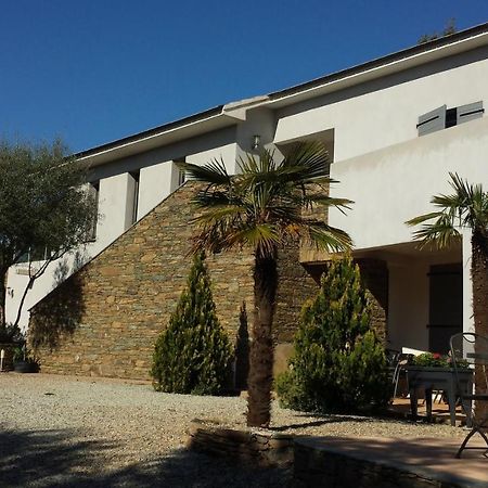 U Muzzelo Bed & Breakfast Oletta  Exterior photo